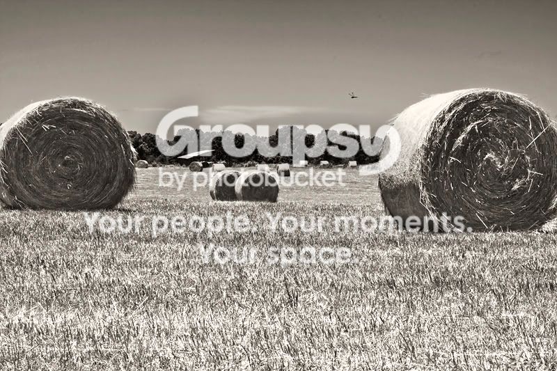 AcrossTheHayField800.jpg