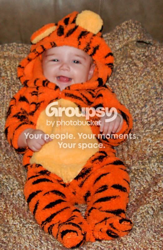 Tigger1.jpg