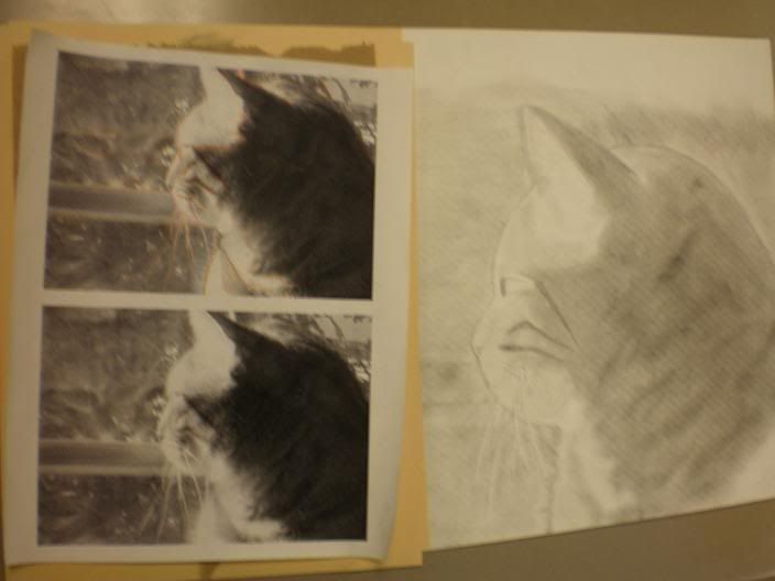 LilyDrawing-Compare.jpg