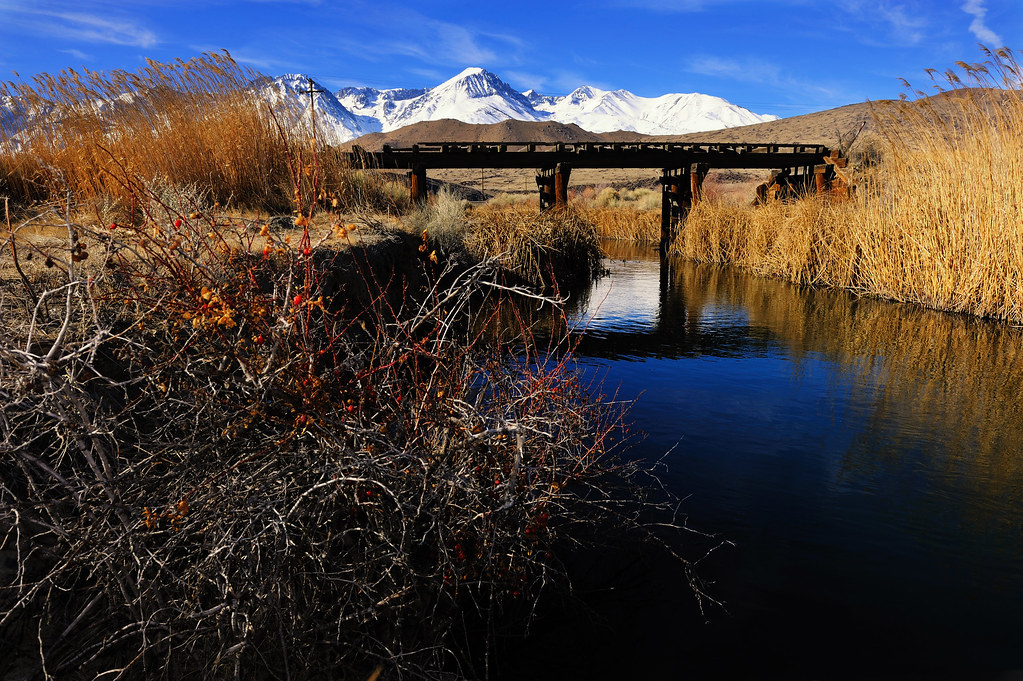 5376201047_741f935bb7_b.jpg