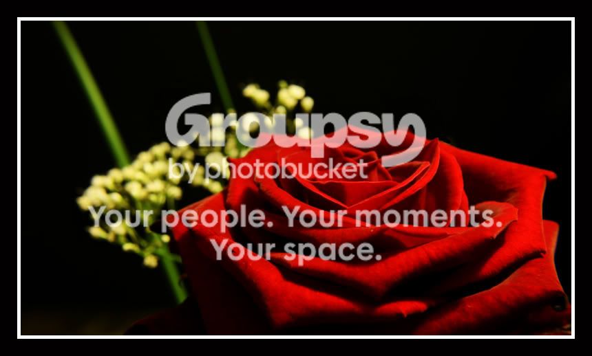 Rose6.jpg