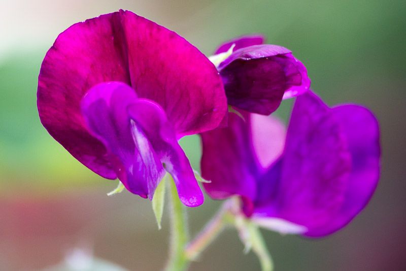 20120721-_MG_4192.jpg