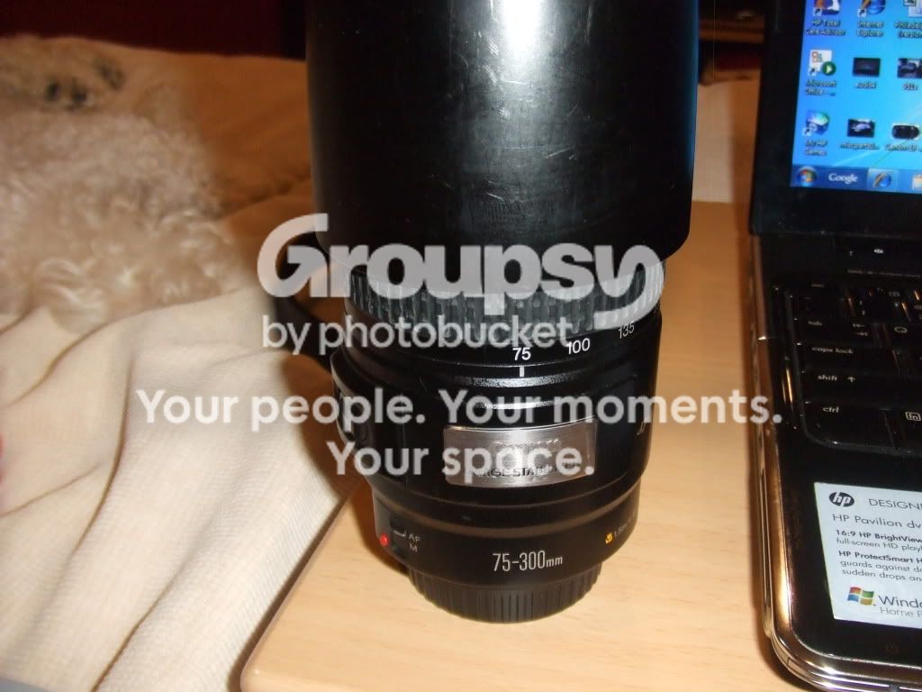 DSCF1284.jpg
