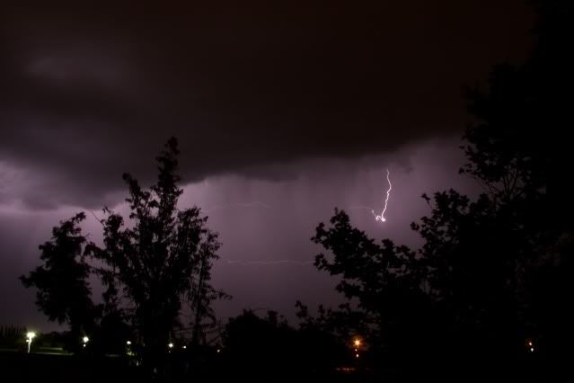 lightning1.jpg