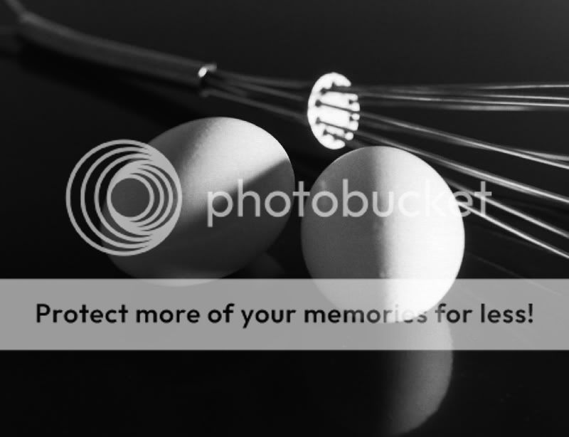 Eggsbwmod.jpg