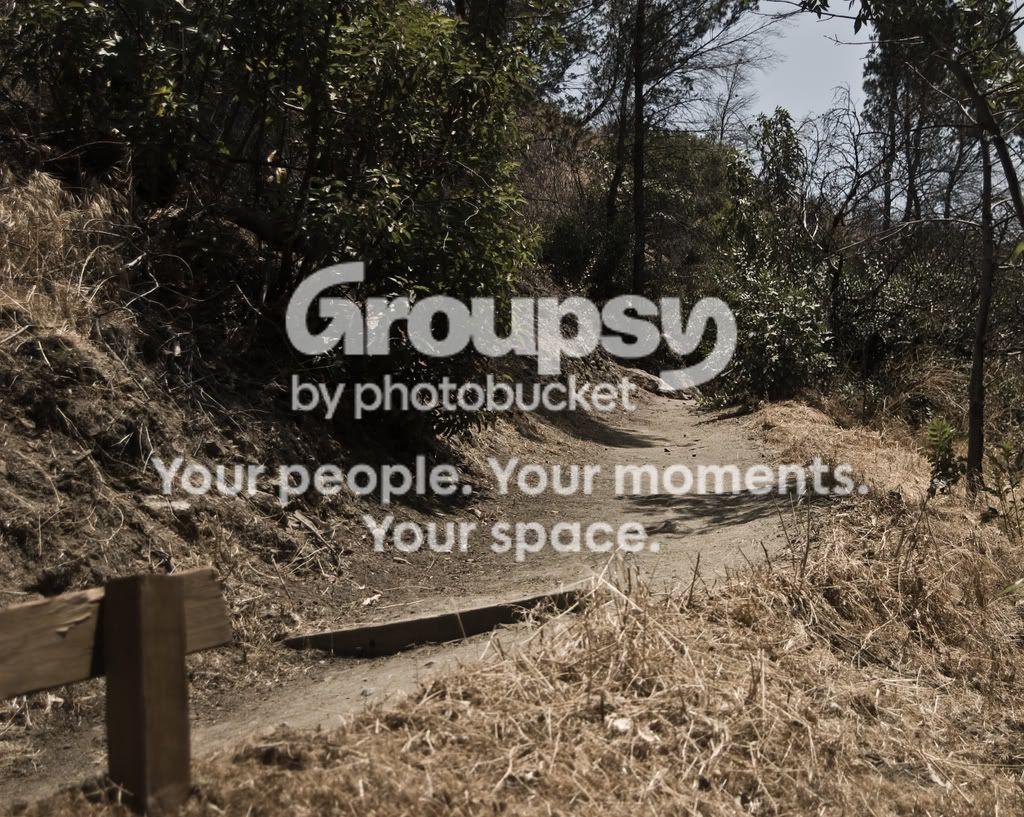 dirttrail.jpg