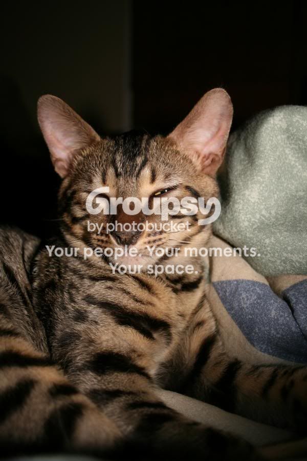 patrick.jpg