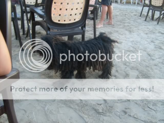 S6301261.jpg