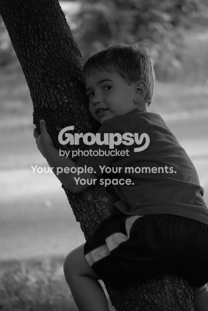 nikonsnaps442.jpg
