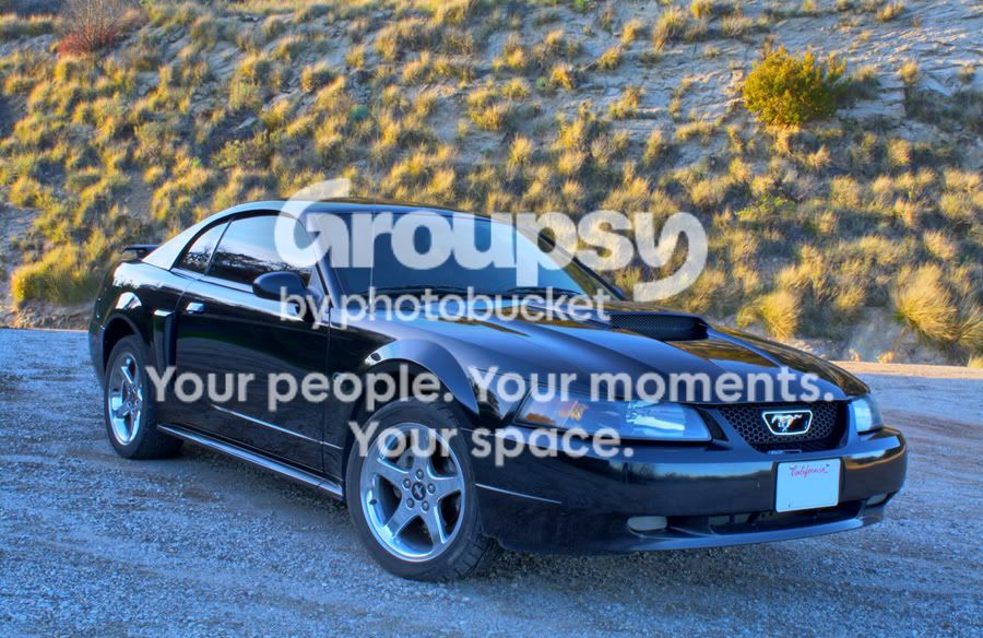 smallstang.jpg