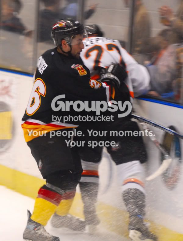 IceBears0890001.jpg