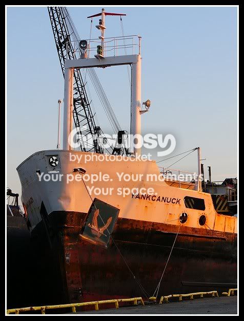 cb182e50.jpg