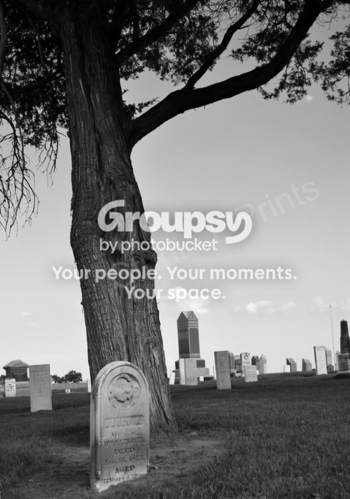 TreeGraveBWWMK.jpg
