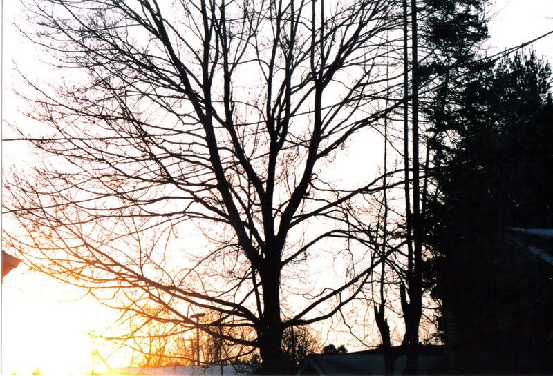 Dec073.jpg