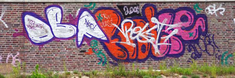 img0356pcrbt5.jpg
