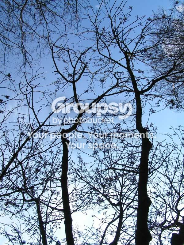 PICT0013web.jpg