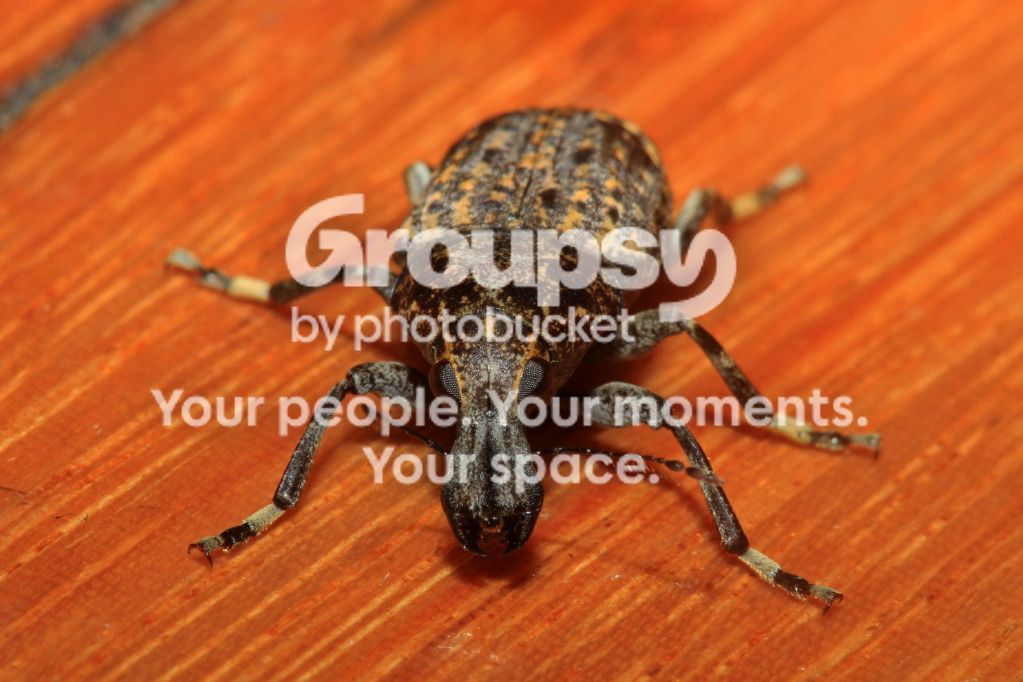IMG_9740copy.jpg