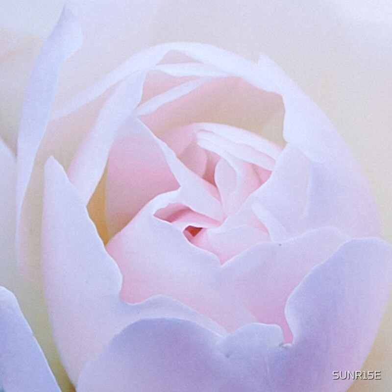 flat,800x800,075,f.u4.jpg