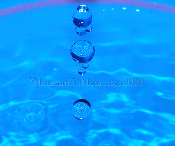 4362169452_04fa6d7a40_o.jpg