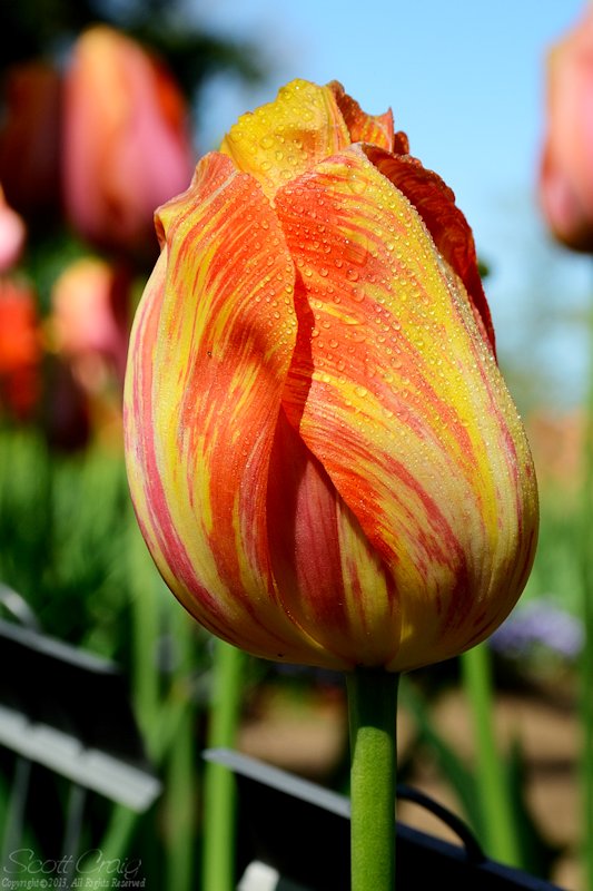 2013-04-20-05.jpg