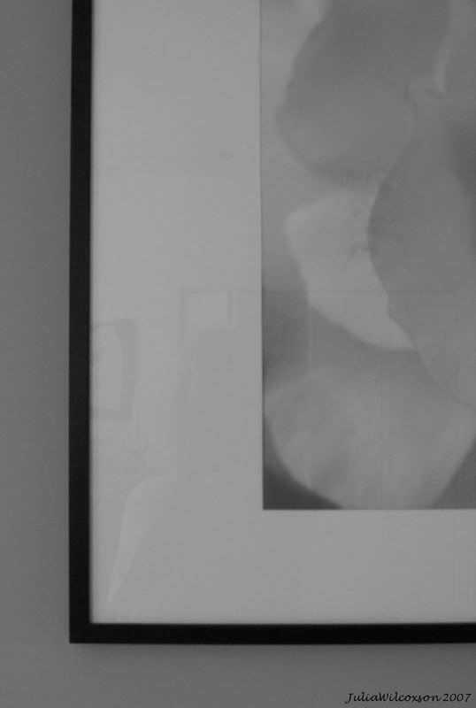 100_1434_mk.jpg
