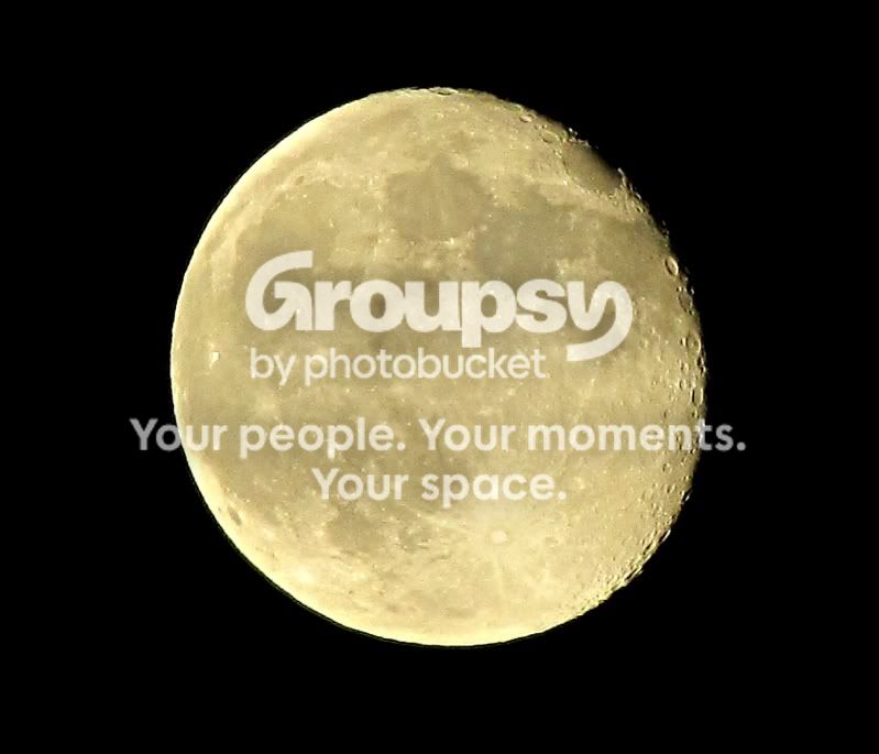 moon1.jpg