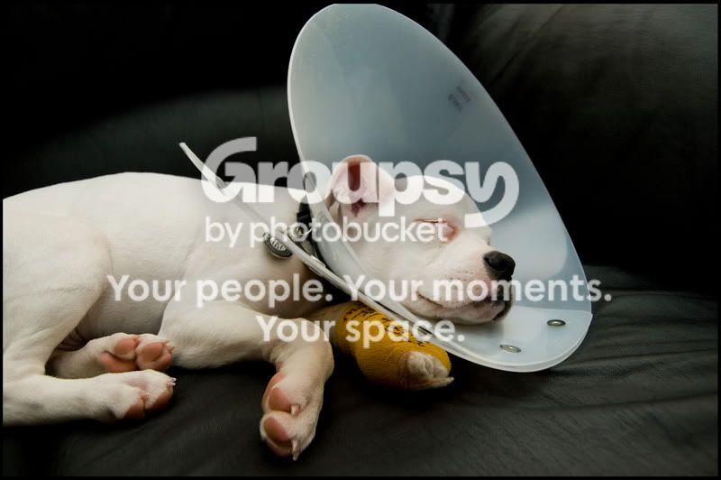 DirectTV.jpg