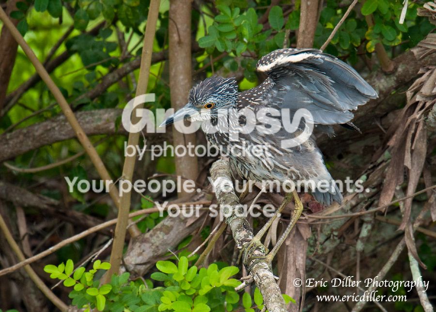 _ECD0150-copy900.jpg