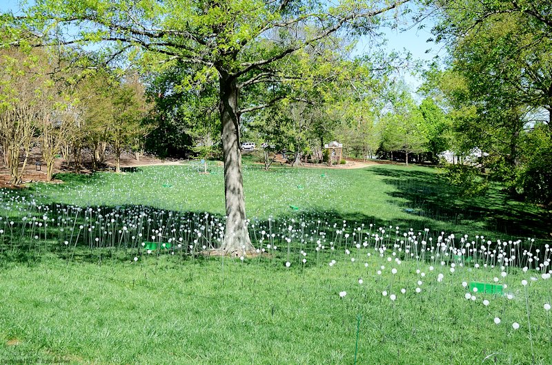 2013-04-20-11.jpg