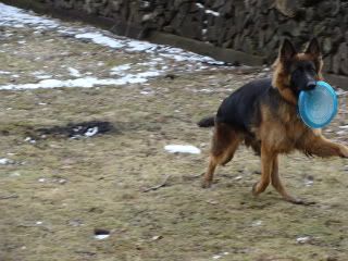 DSC00272-1.jpg