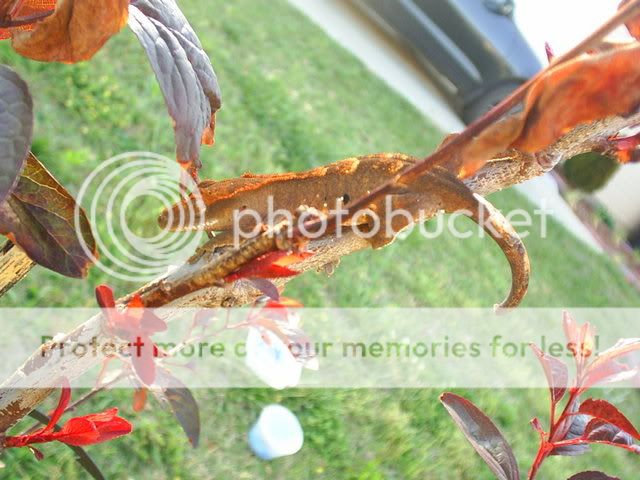 PhotoShoot4-30-07034.jpg