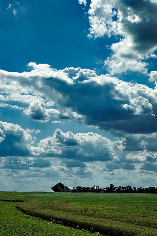 illinoislandscape2.jpg