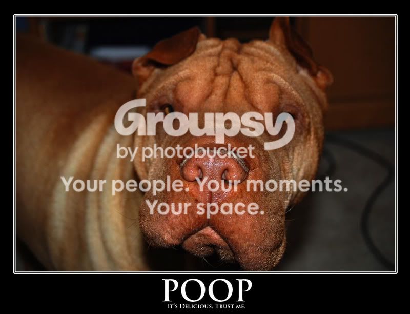 poopsmall.jpg