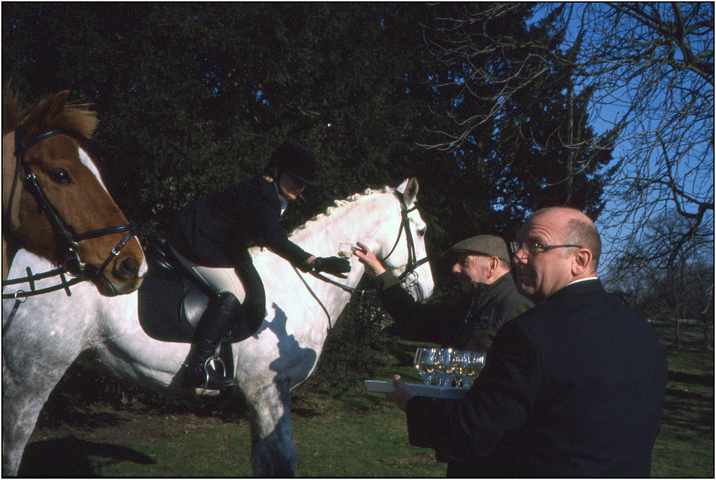 scan334-XL.jpg