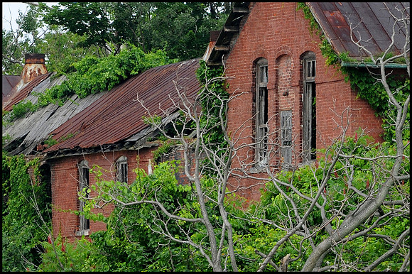 p991555593-3.jpg