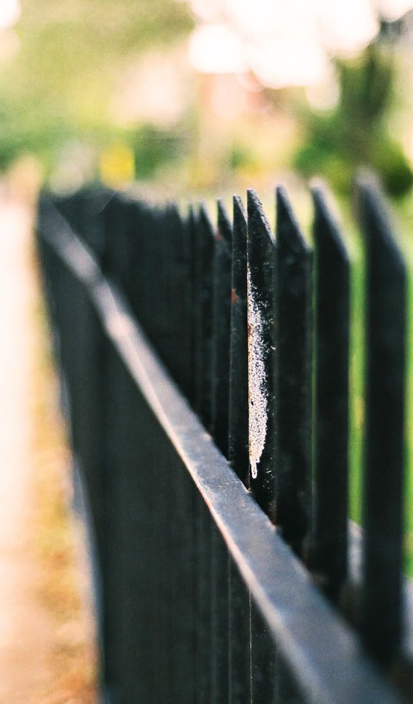 Pointy_Fence_1.jpg