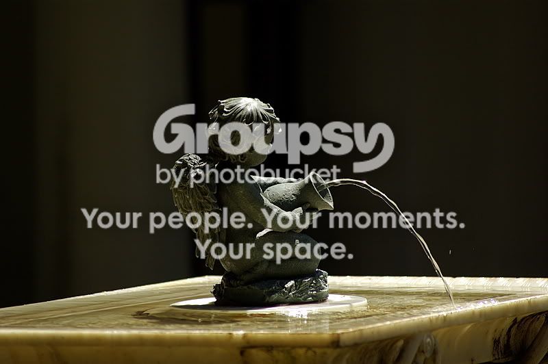 IMGP0046.jpg