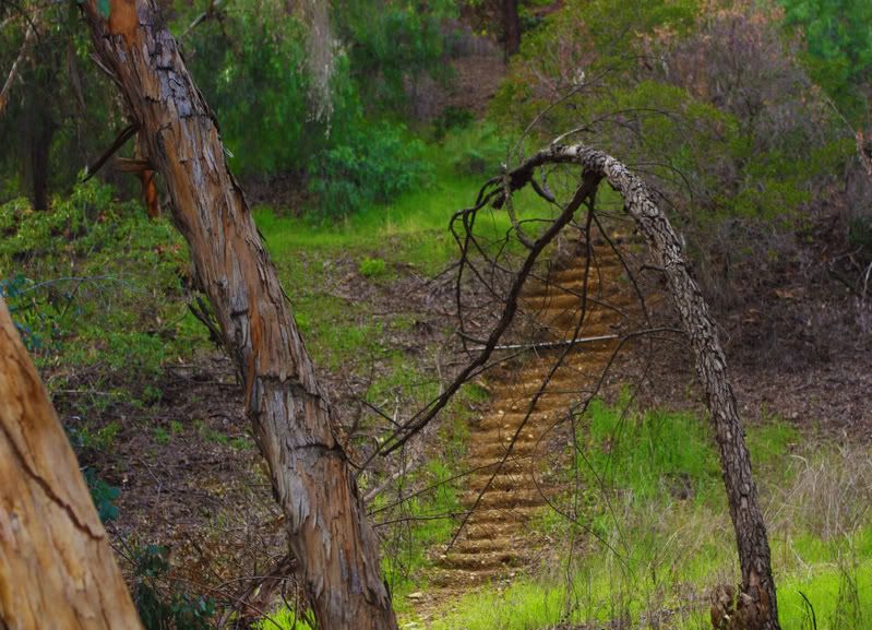 nature3.jpg
