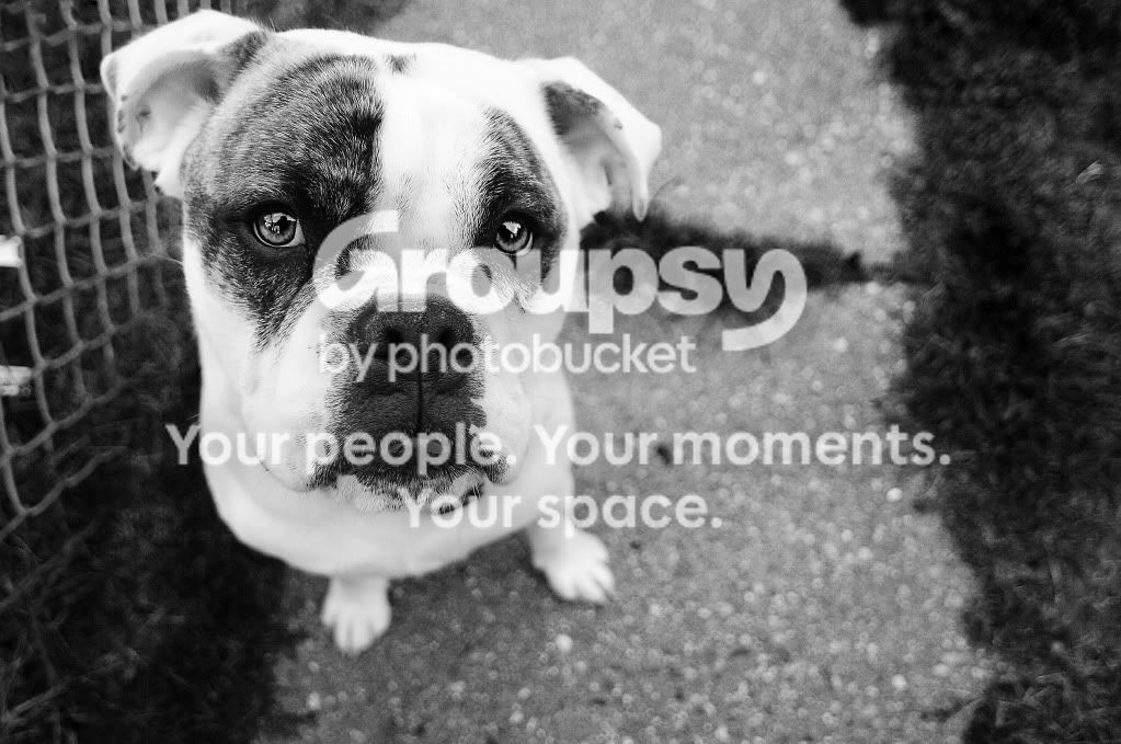 DSC_4774BW.jpg