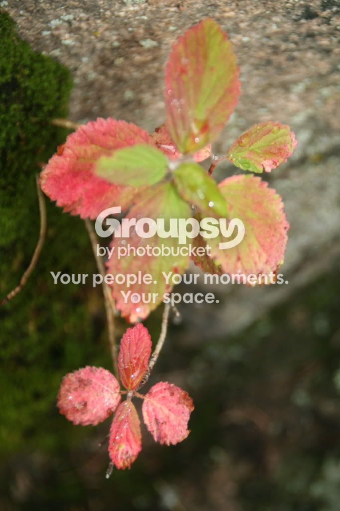 ImportedPhotos00025.jpg
