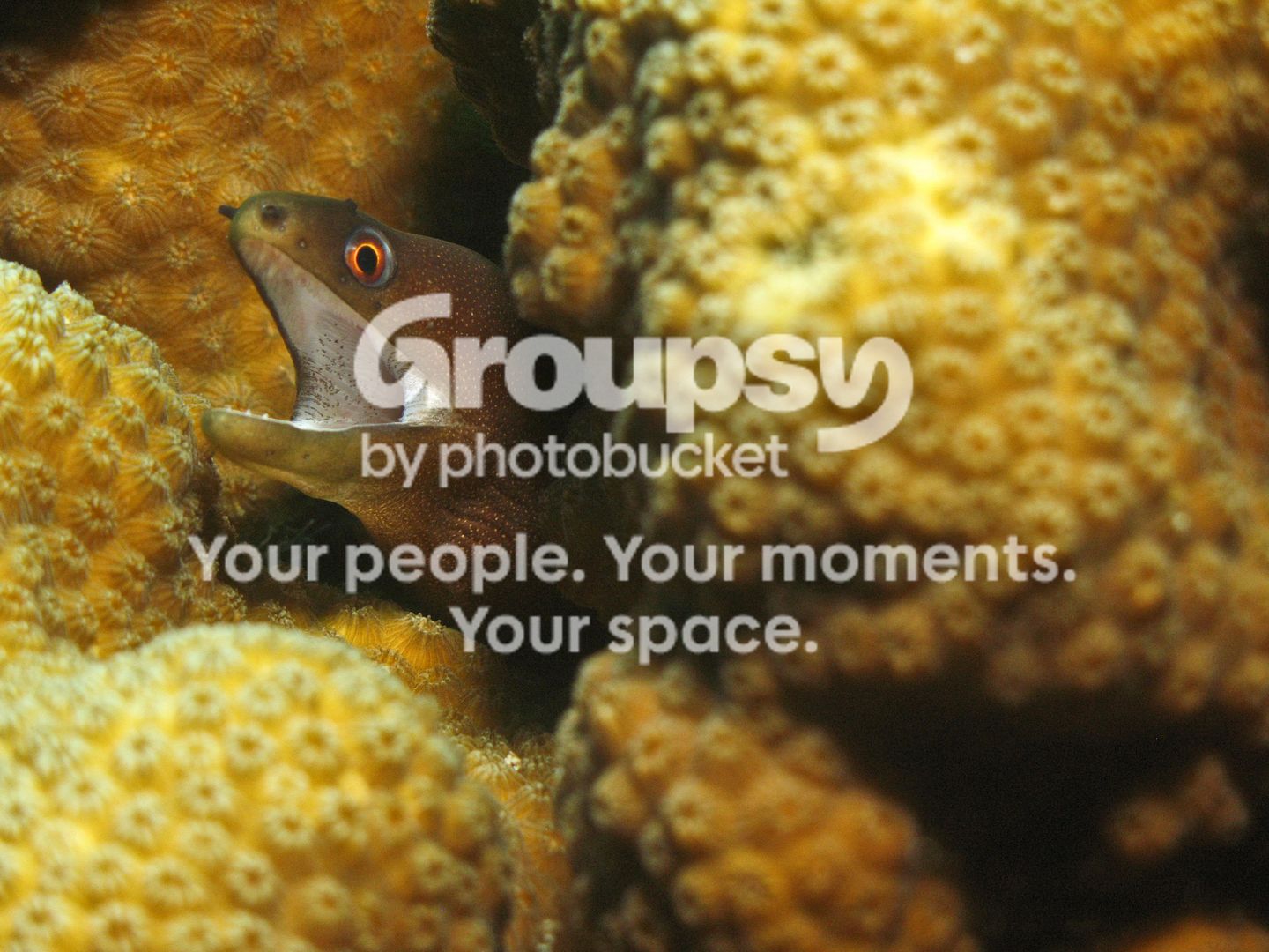 Bonaire_2010B052.jpg
