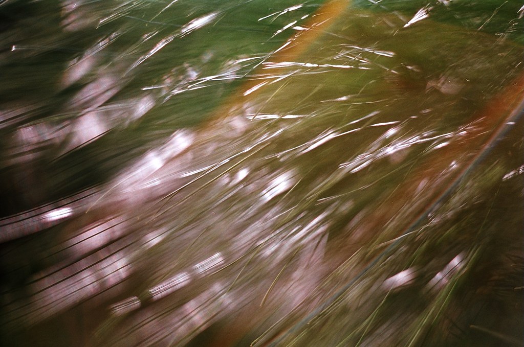 7579932232_9c7bf20669_b.jpg