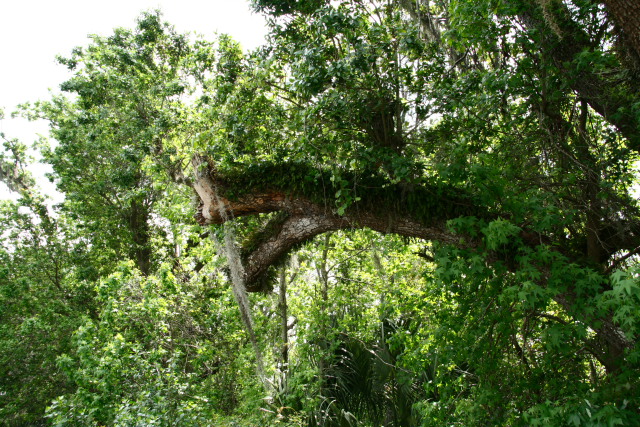 DPP_0036.JPG