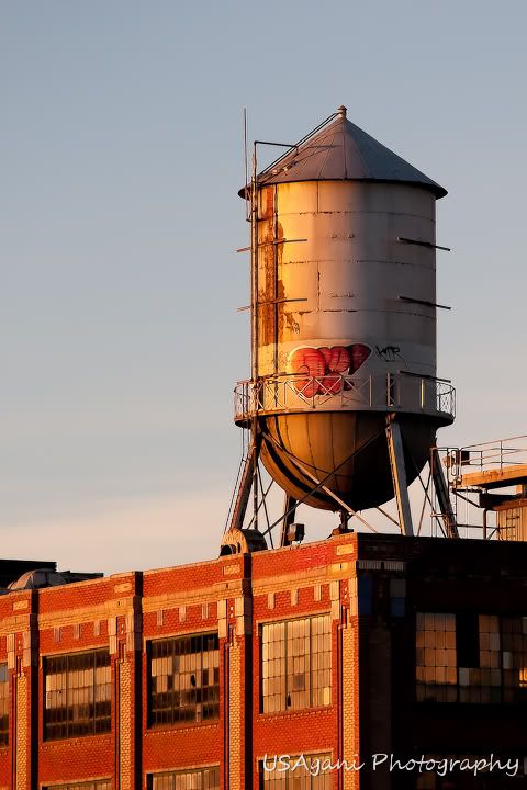 _MG_1786-Edit.jpg