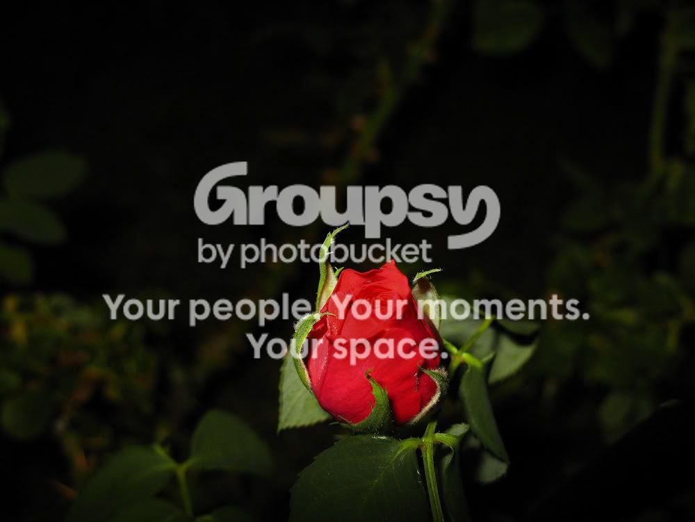 IMG_0733copy.jpg