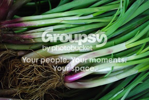 ONION2_0080.jpg