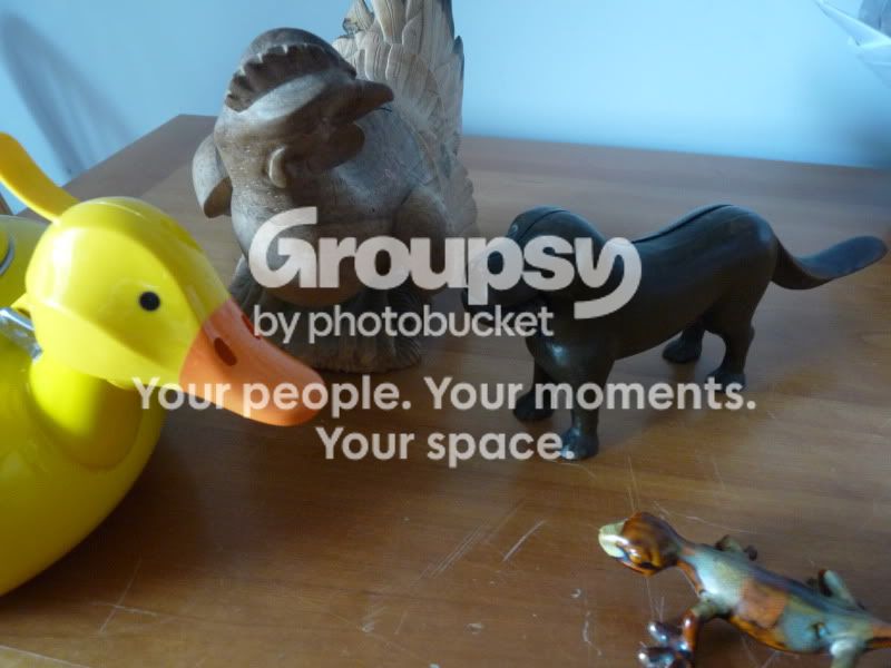 Social.jpg