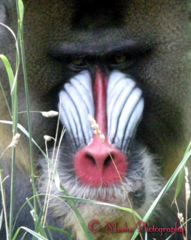 2883260_orig.jpg