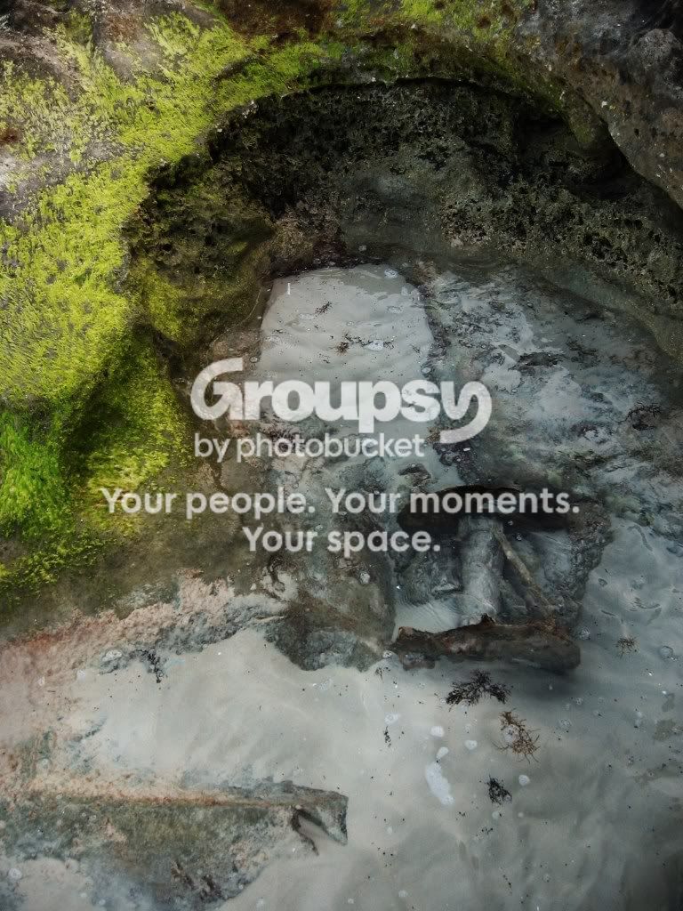 IMG_3434.jpg