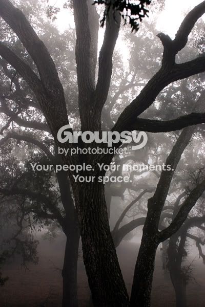 nature39.jpg